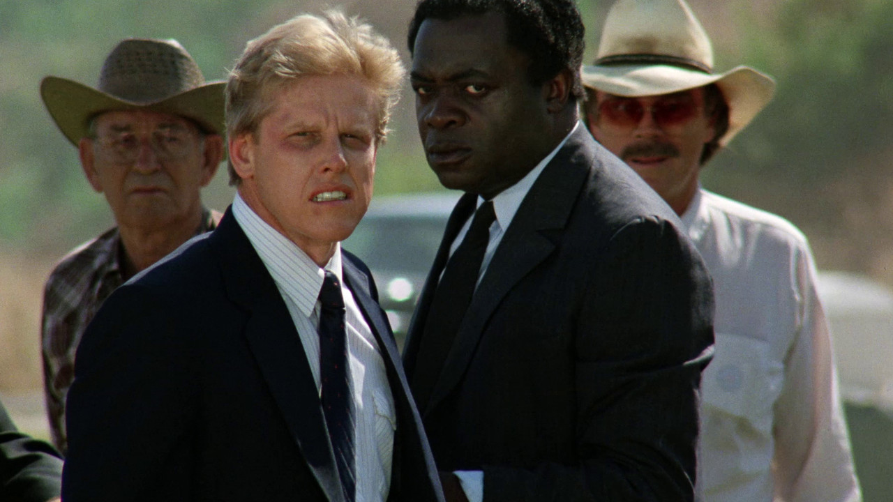 Eye of the Tiger backdrop