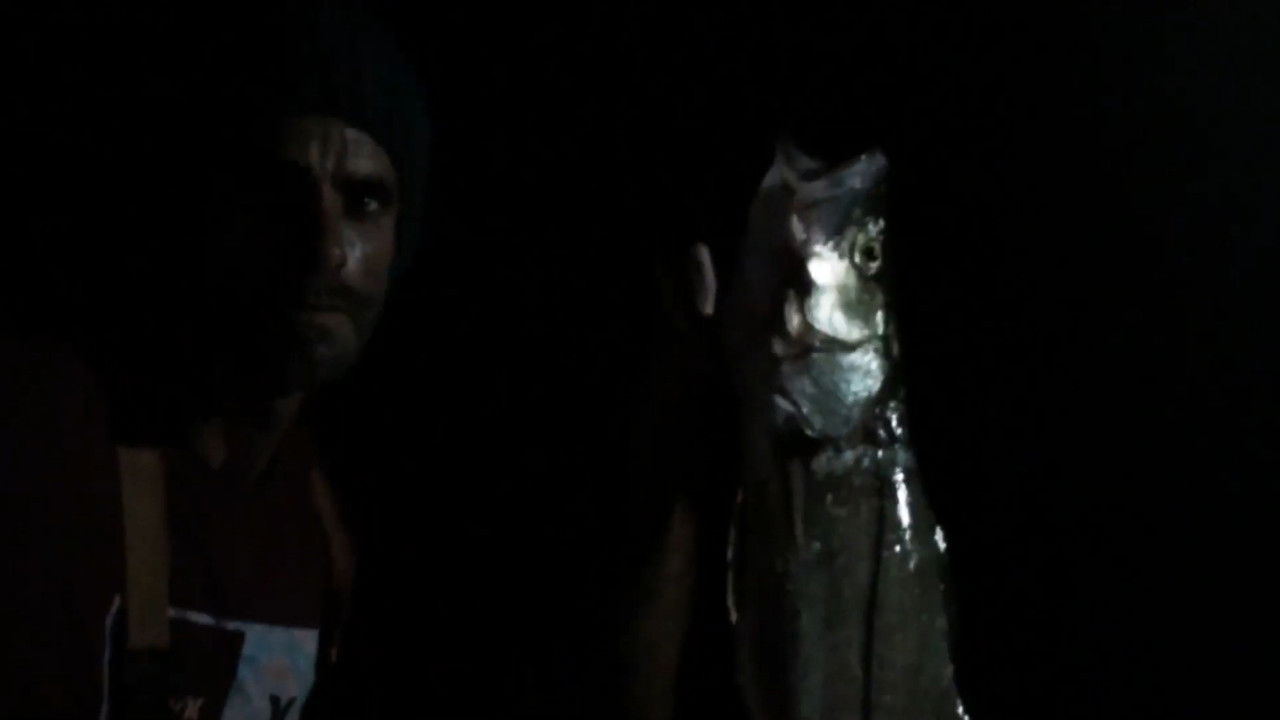 Contra a Maré backdrop