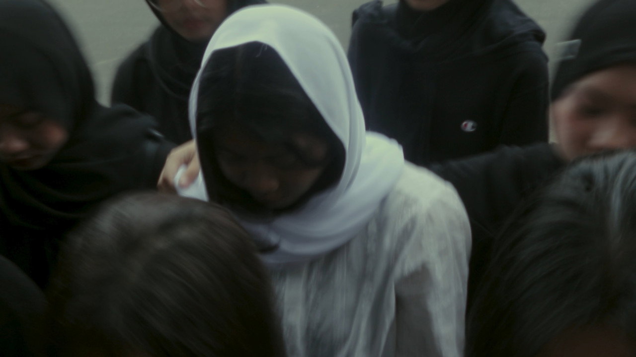 The Warmth of a Pulse Blanket backdrop