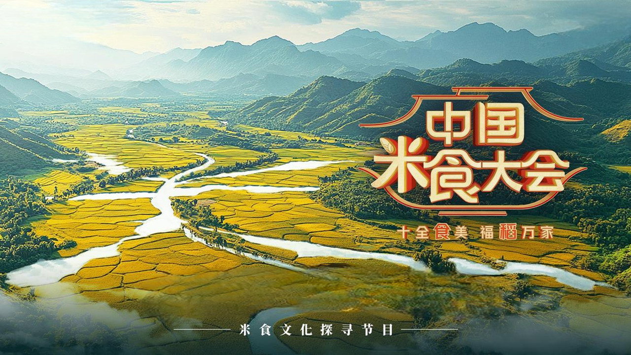 中国米食大会 backdrop