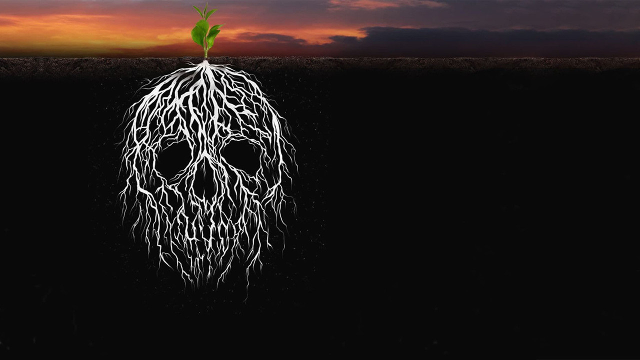 My Destiny and Your Destiny backdrop