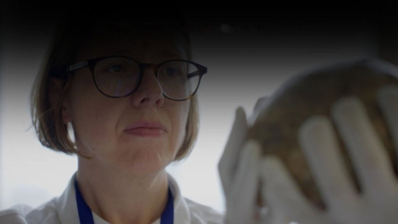 Neanderthals vs Sapiens: Two of a Kind backdrop