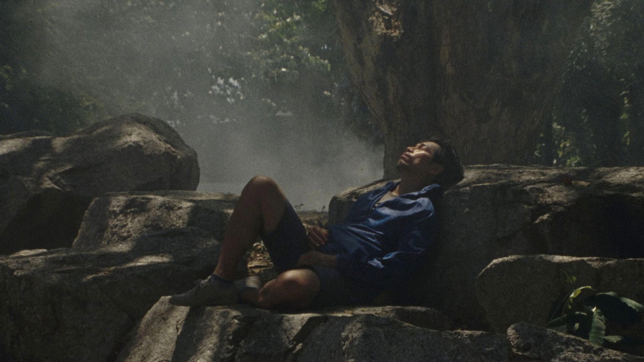 Ashes and Echoes backdrop