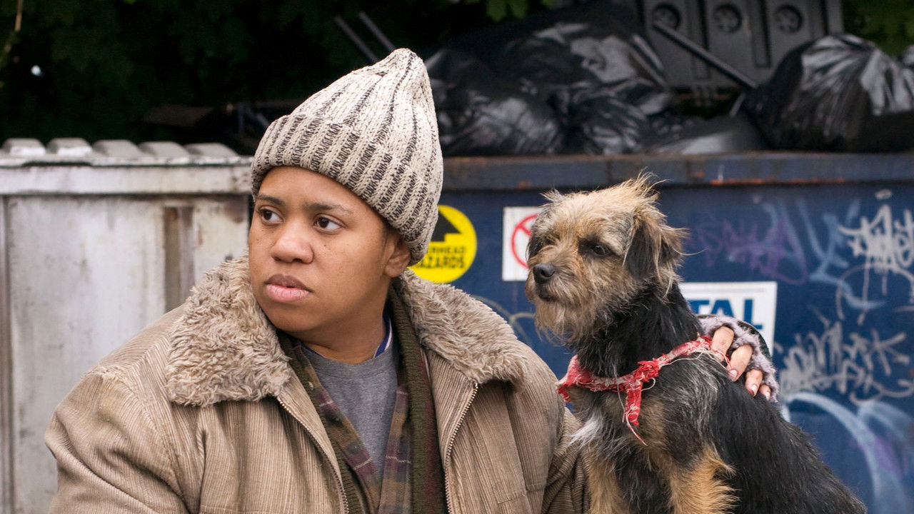 Accidental Friendship backdrop