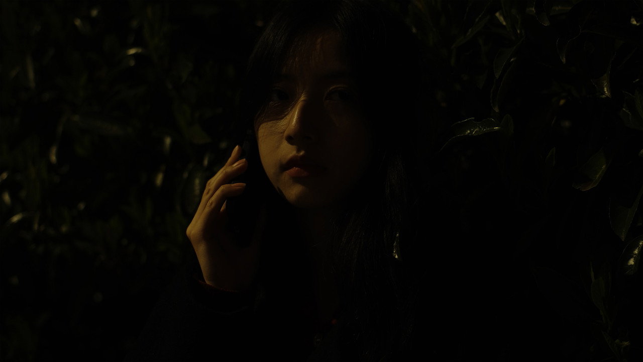 A New Novel backdrop