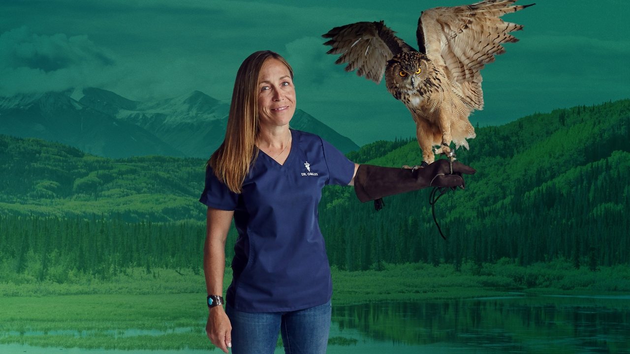 Dr. Oakley, Yukon Vet backdrop