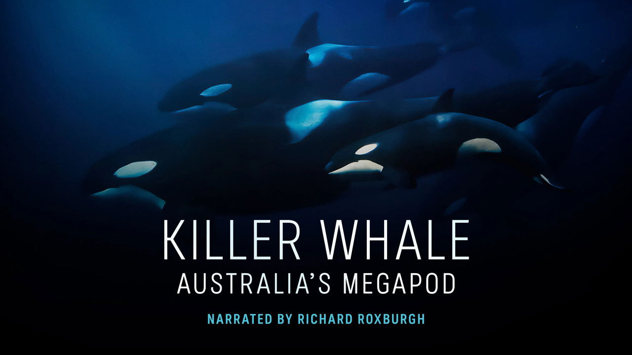 Killer Whale: Australia's Megapod backdrop