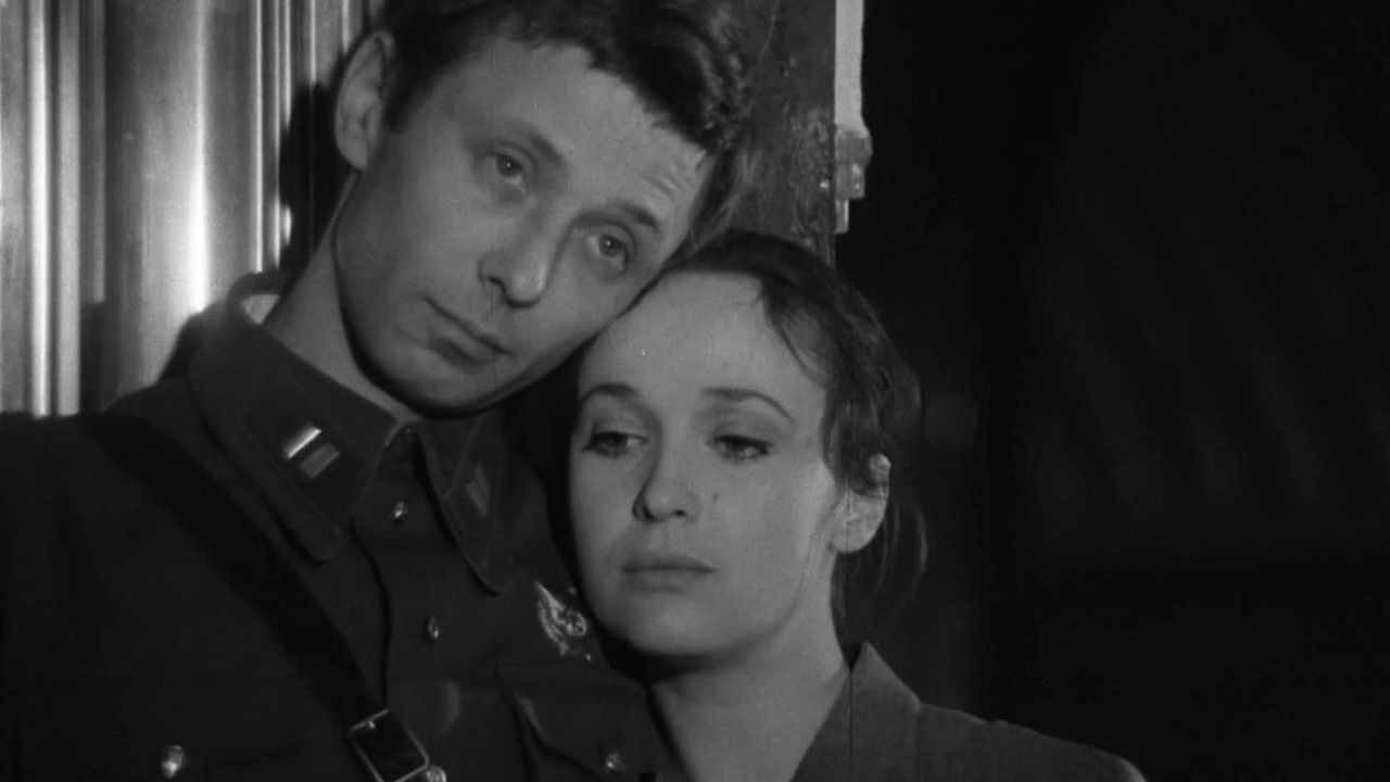 Variant 'Omega' backdrop