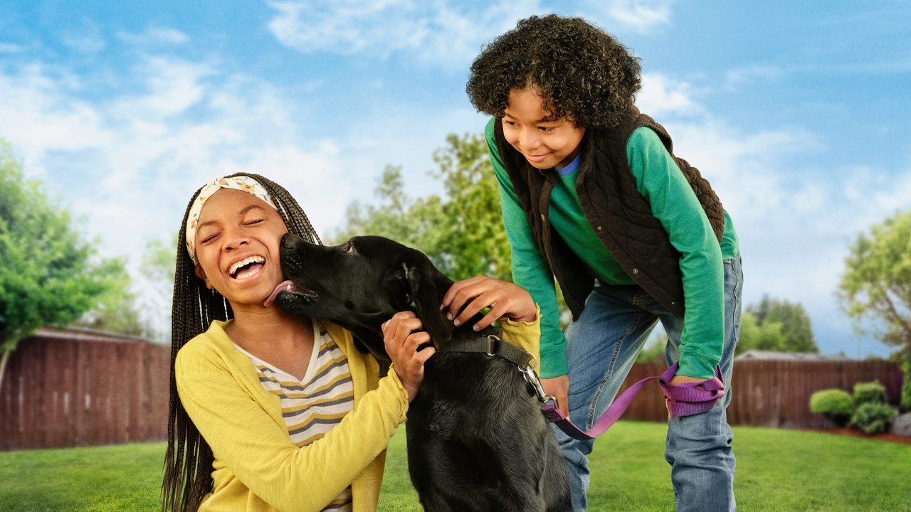 Puppy Place backdrop