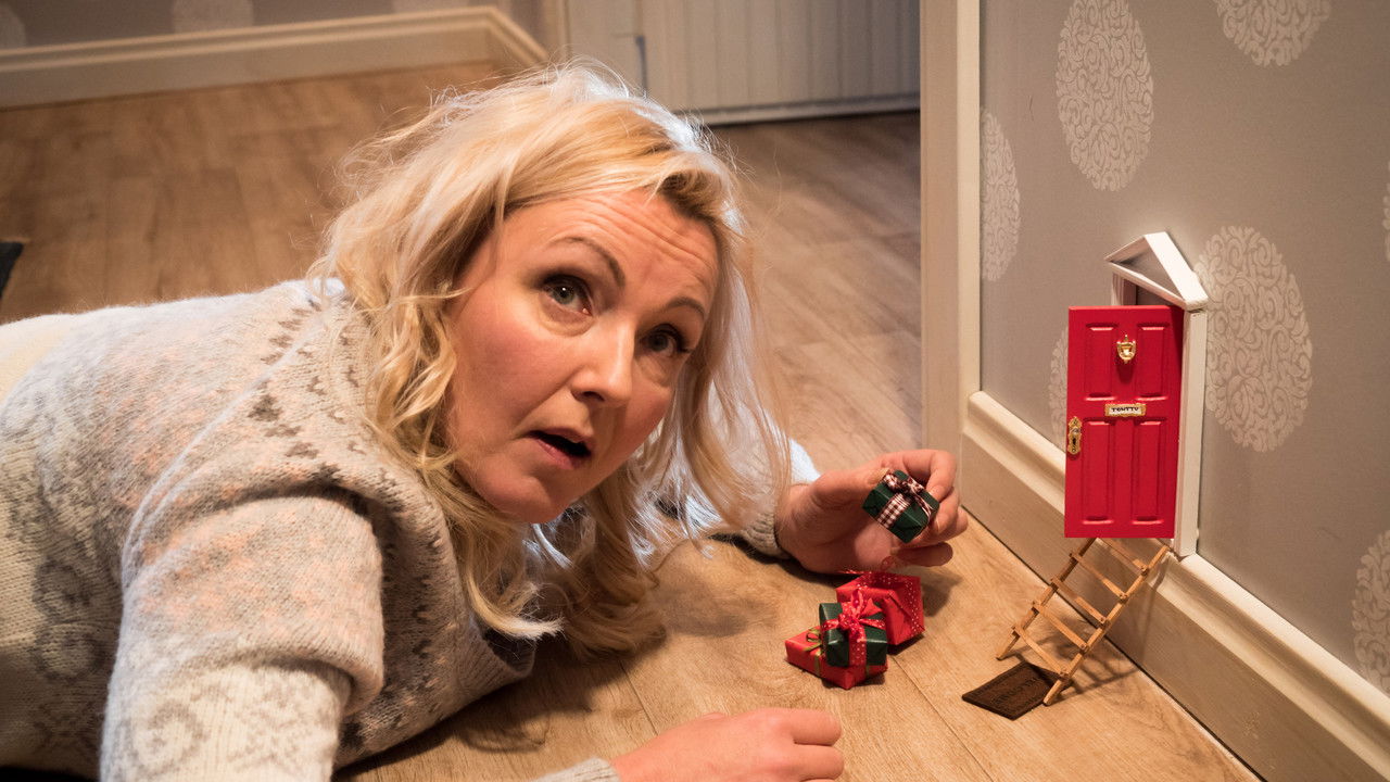 Aikuisen naisen joulukalenteri backdrop