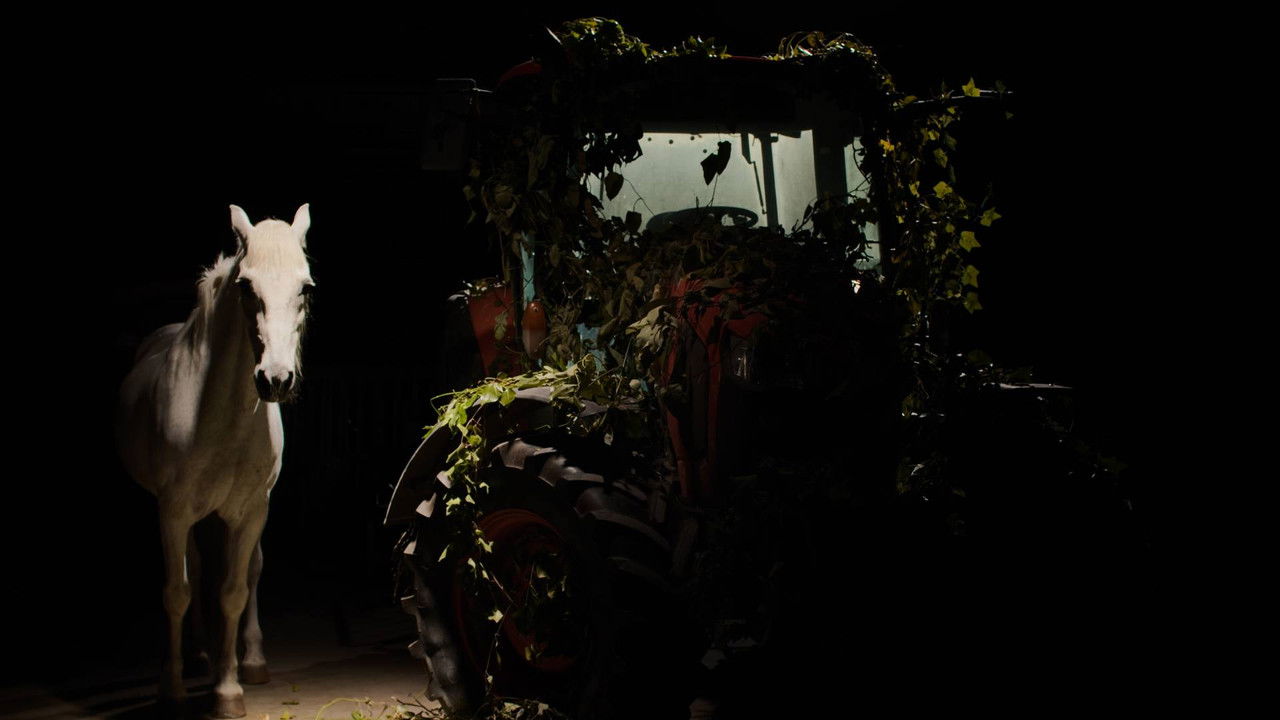 Un perro ladra detrás del depósito backdrop