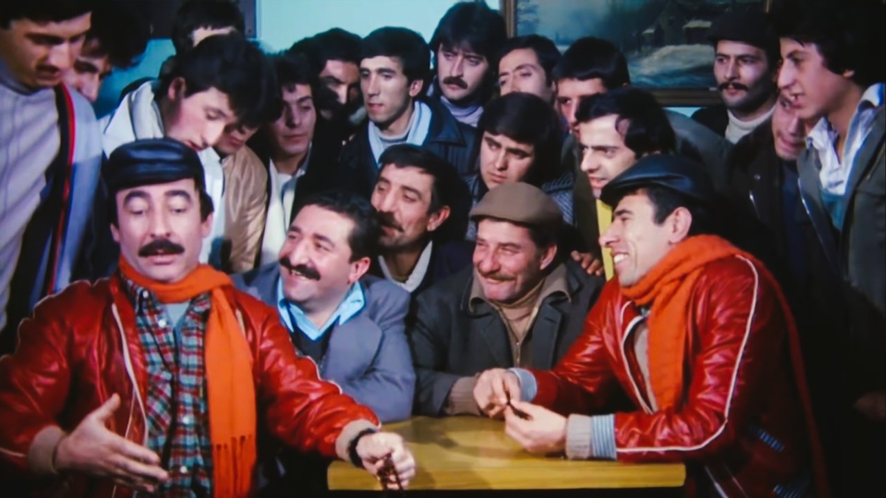 Abbas in Flower backdrop