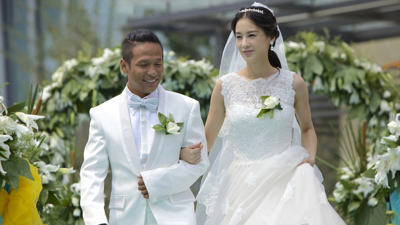 第22条婚规2 backdrop