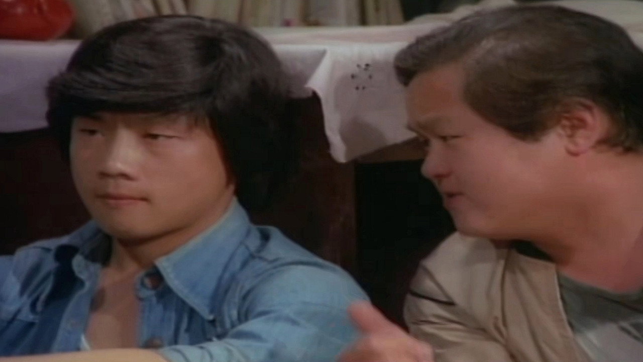 Butterfly Amongst Flowers backdrop