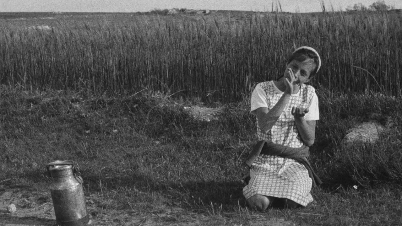 Berta's Motives backdrop