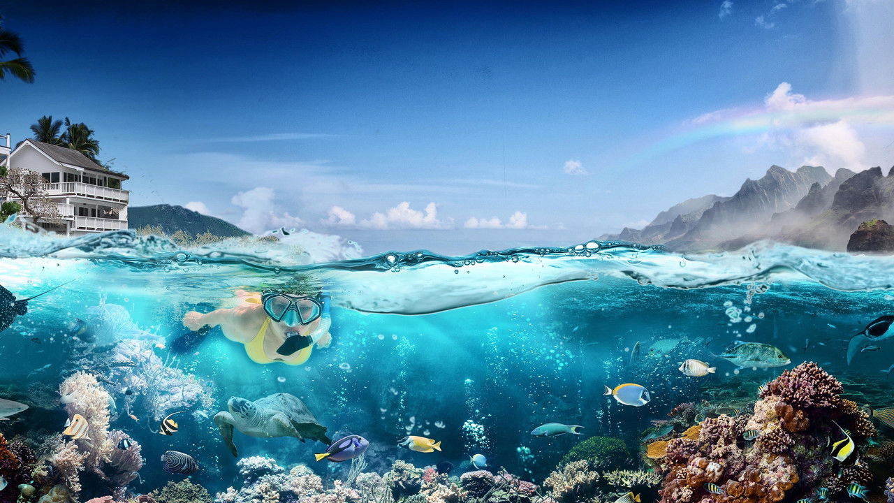 Hawaii Life backdrop