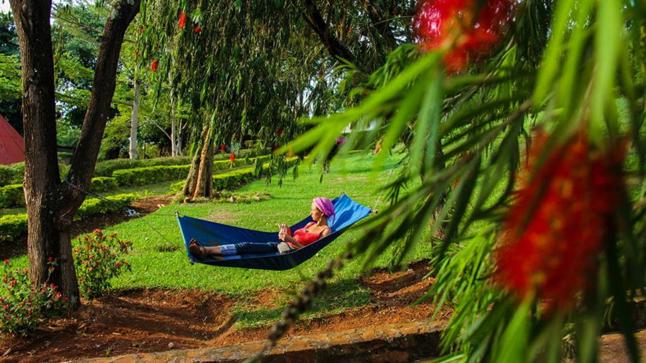 How I Saved Africa backdrop