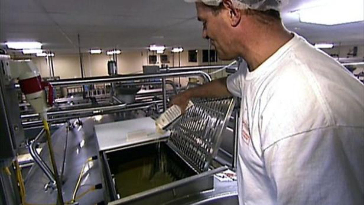 How'd That Get On My Plate? backdrop