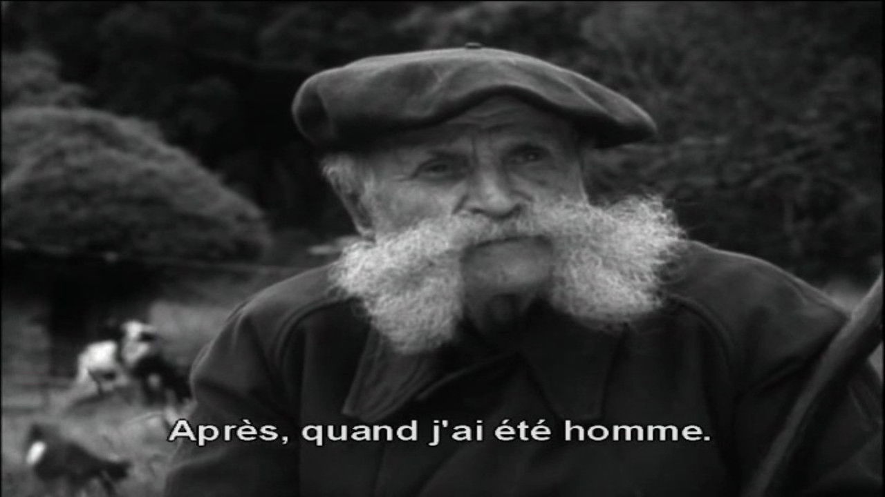 Maurin des Maures backdrop