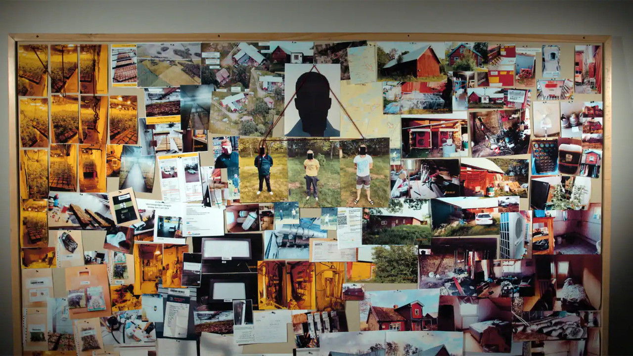 Operation Cannabis backdrop