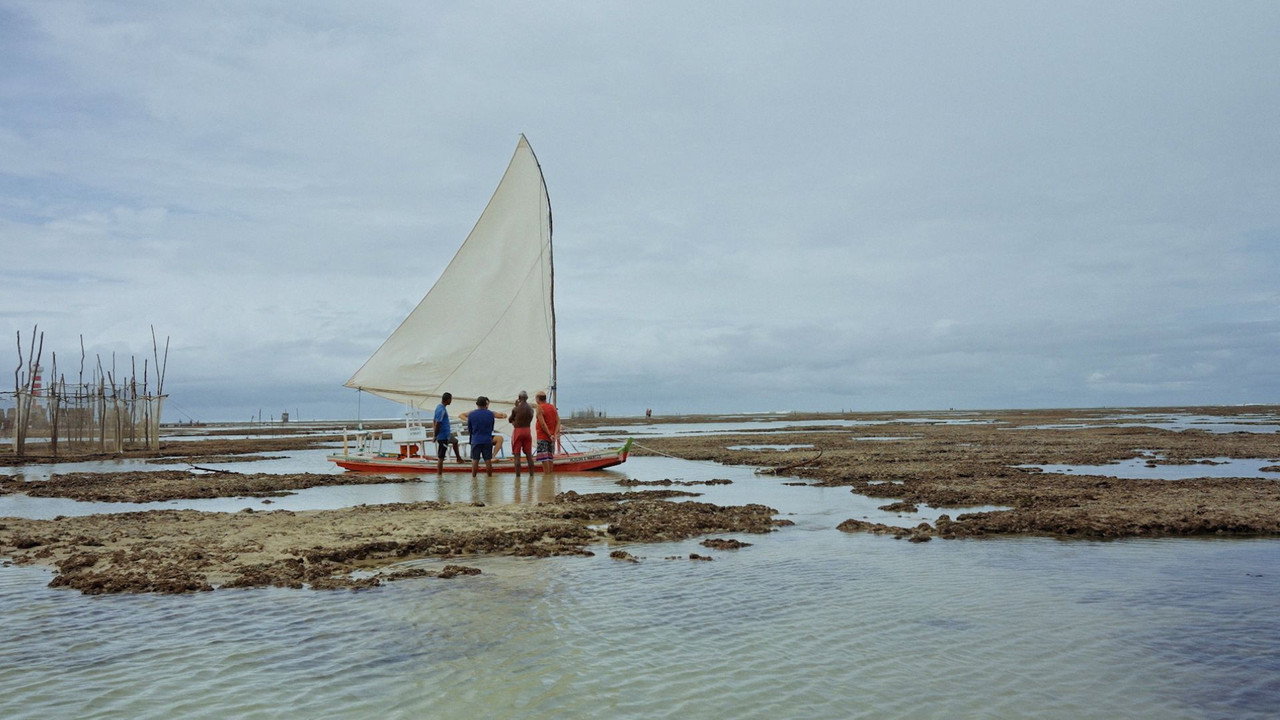 Ammodo Docs backdrop