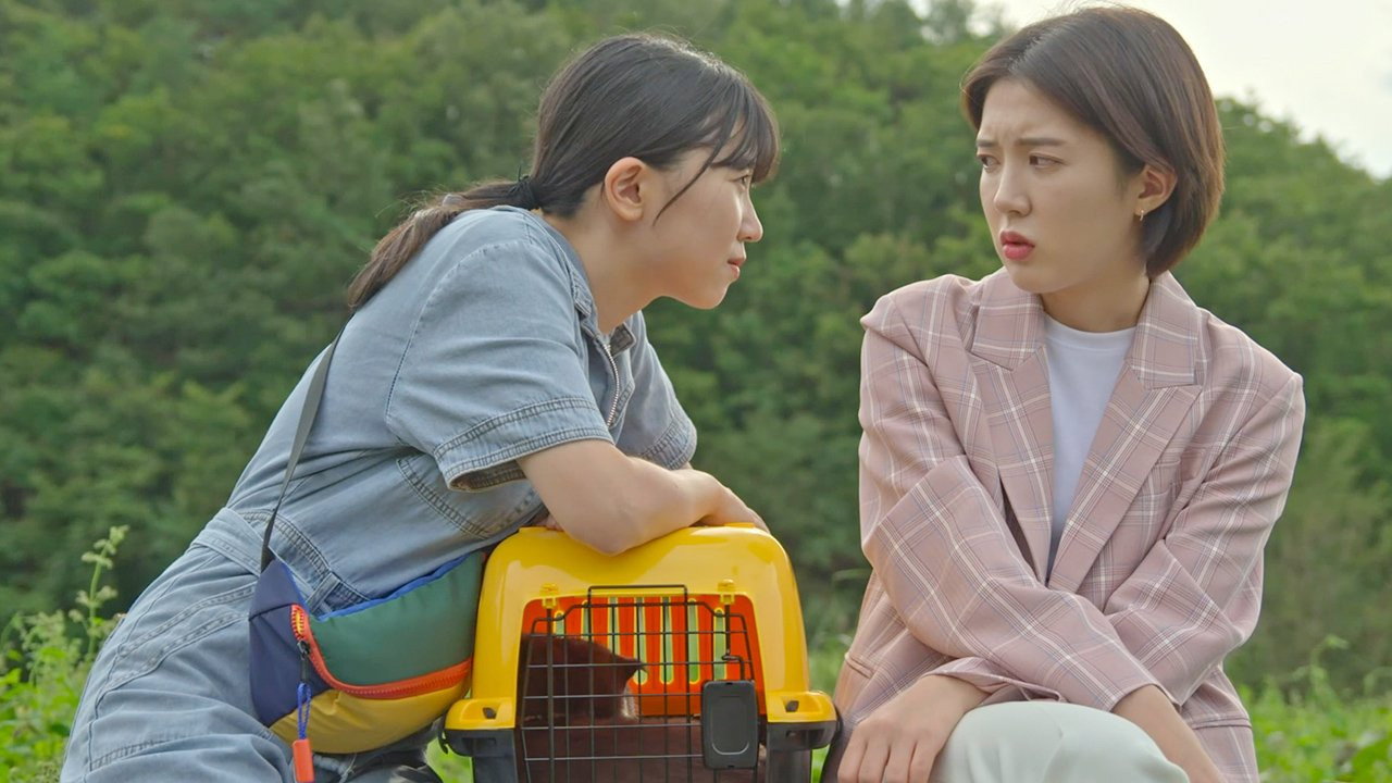 The Elephant Joke backdrop