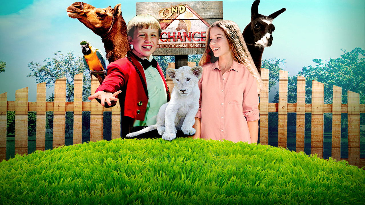 Jimmy's Jungle backdrop