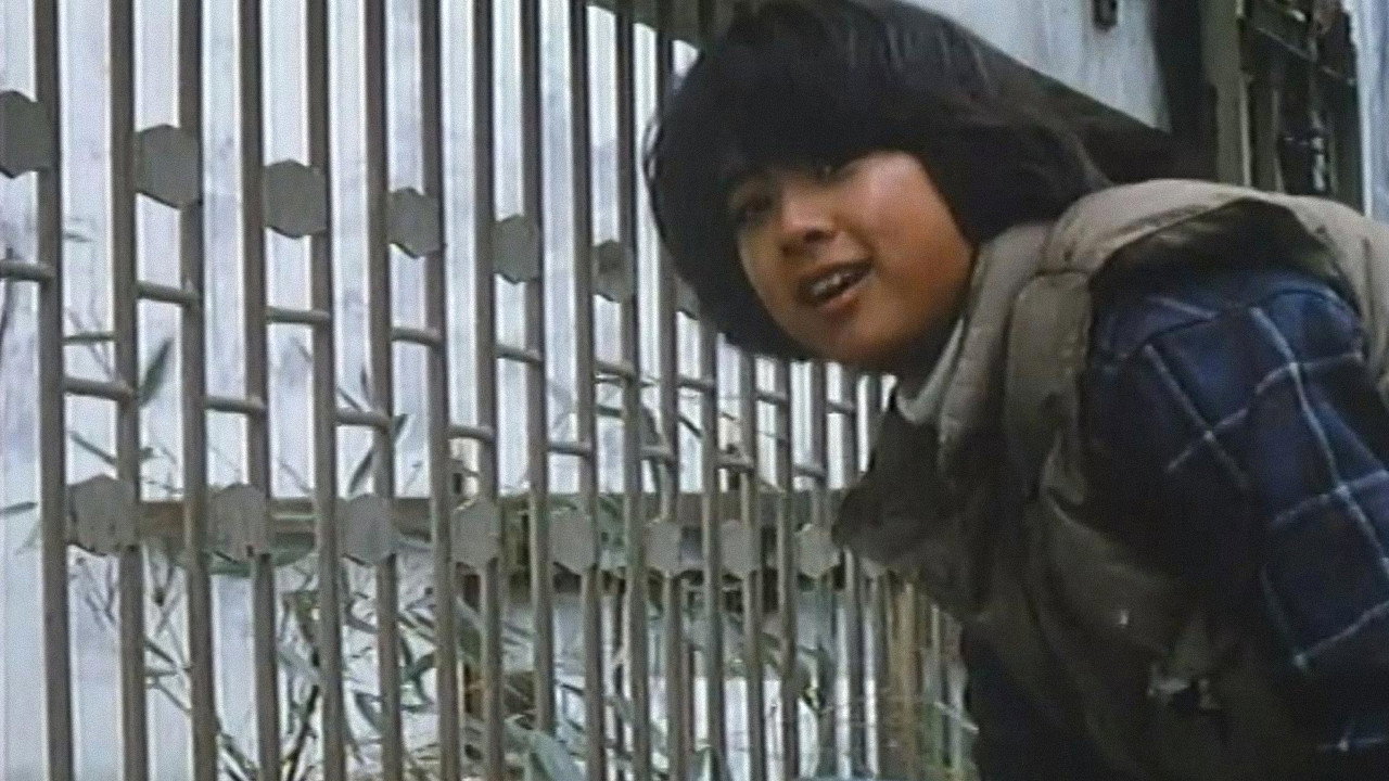 The Panda Story backdrop