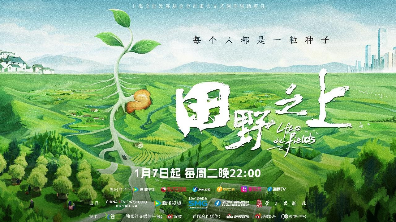 田野之上 backdrop