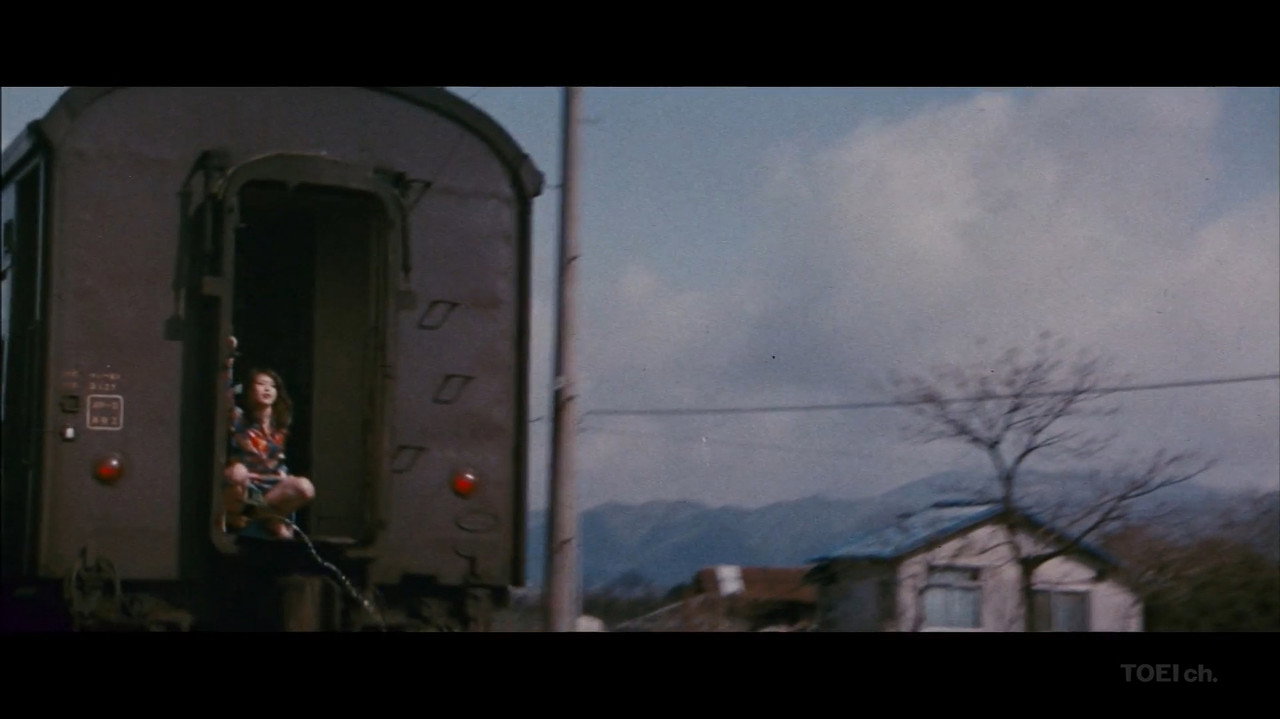 Sapporo, Yokohama, Ogoto, Hakata: Turkish Migratory Birds backdrop