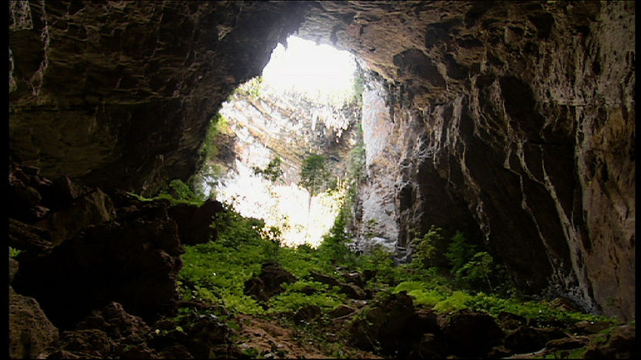 Expedition Borneo backdrop