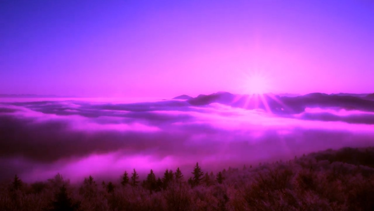 Purple Leone backdrop