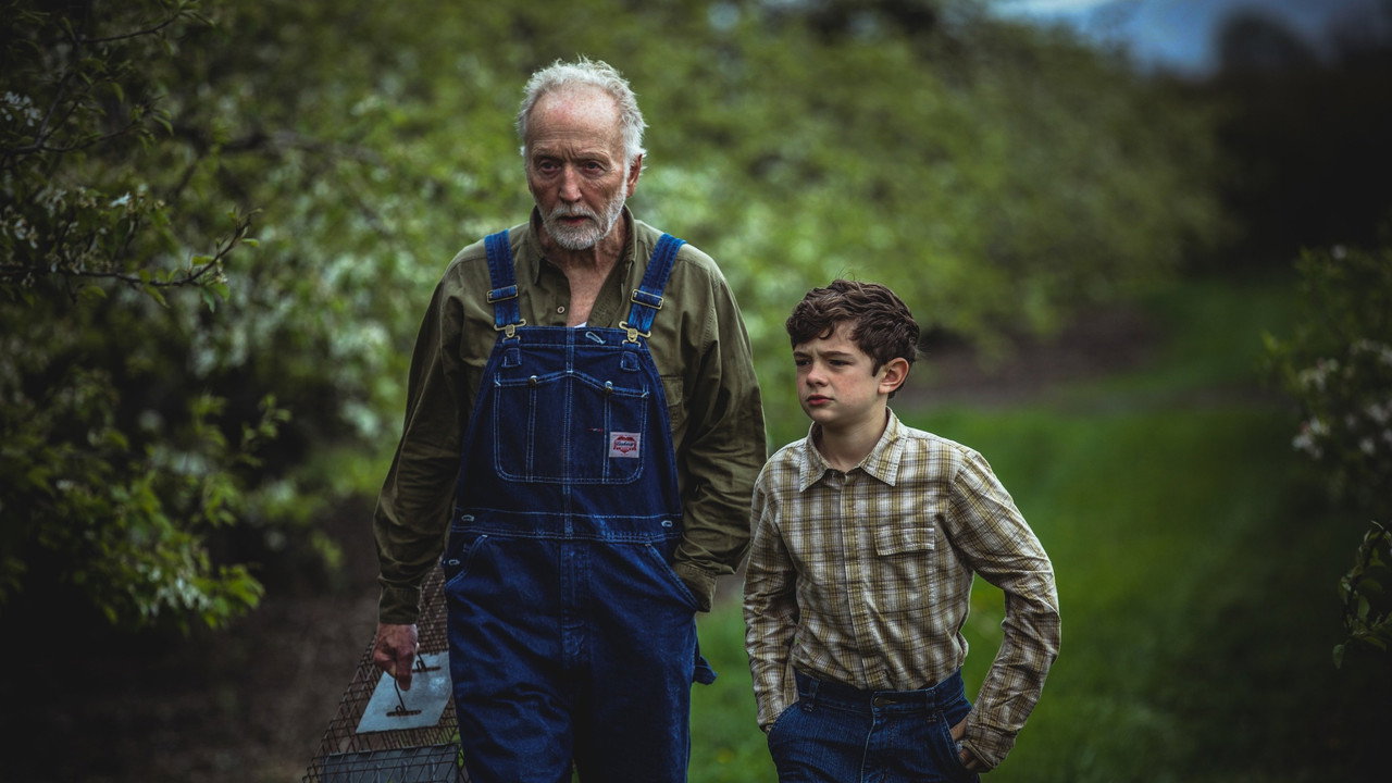 My Pretty Pony backdrop