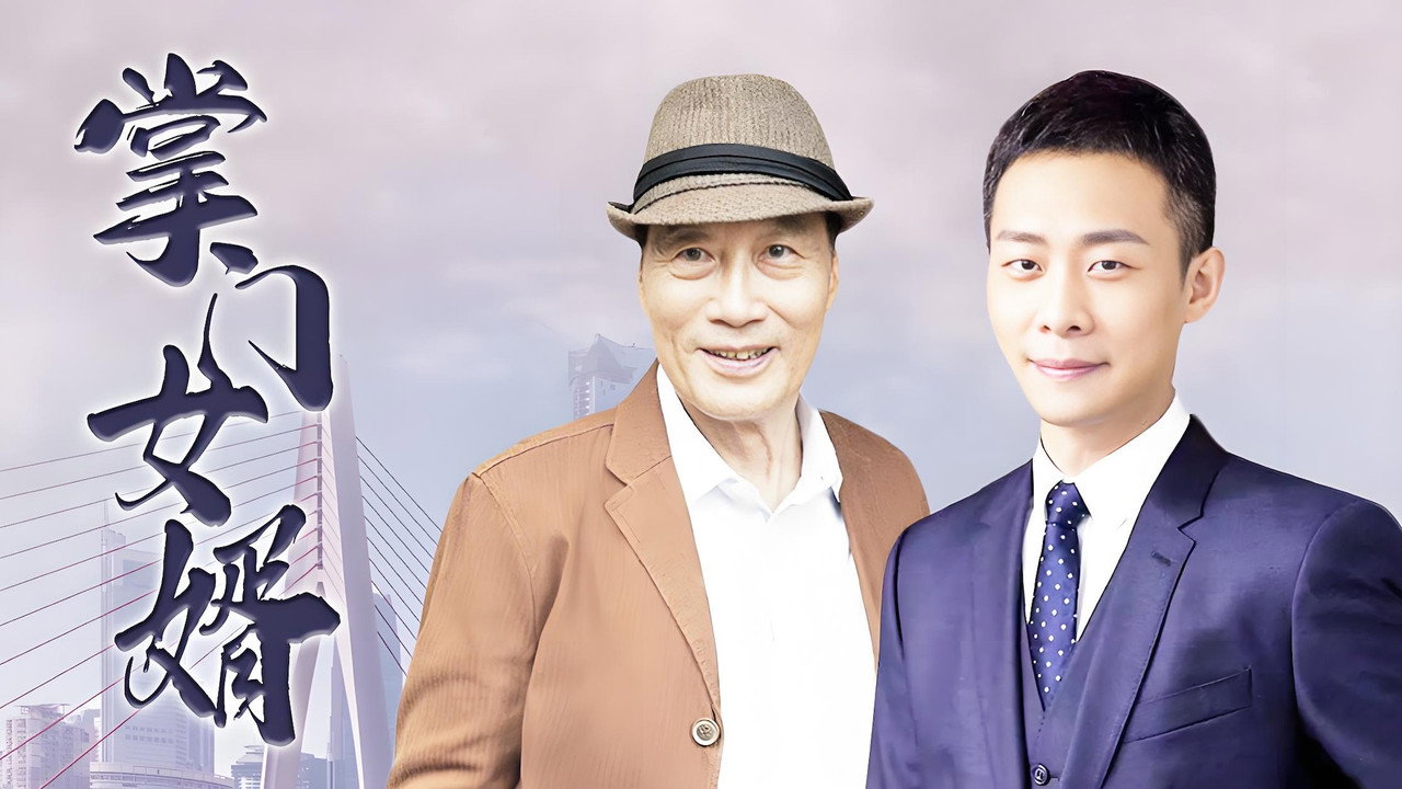 掌门女婿 backdrop