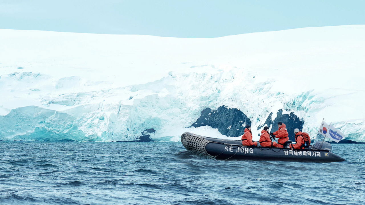 Chef of Antarctica backdrop