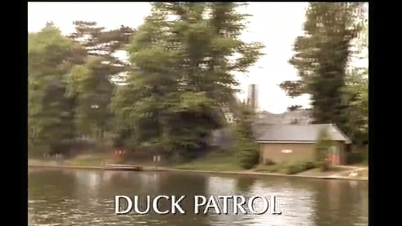 Duck Patrol backdrop