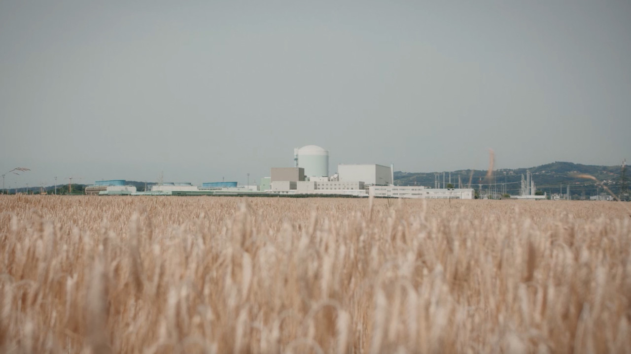 The One and Only backdrop