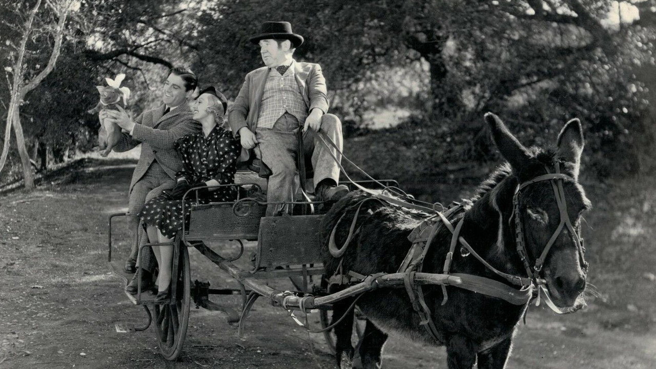 Laughing Irish Eyes backdrop