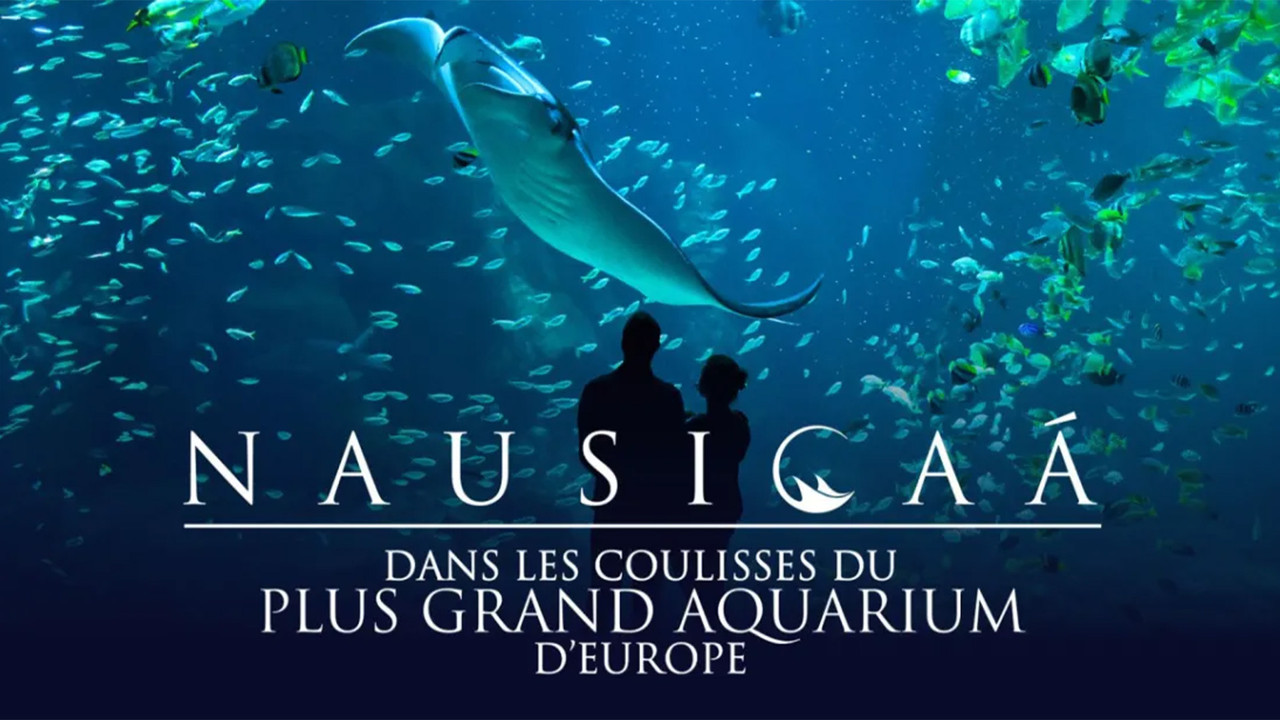 Nausicaá : Dans les coulisses du plus grand aquarium d'Europe backdrop