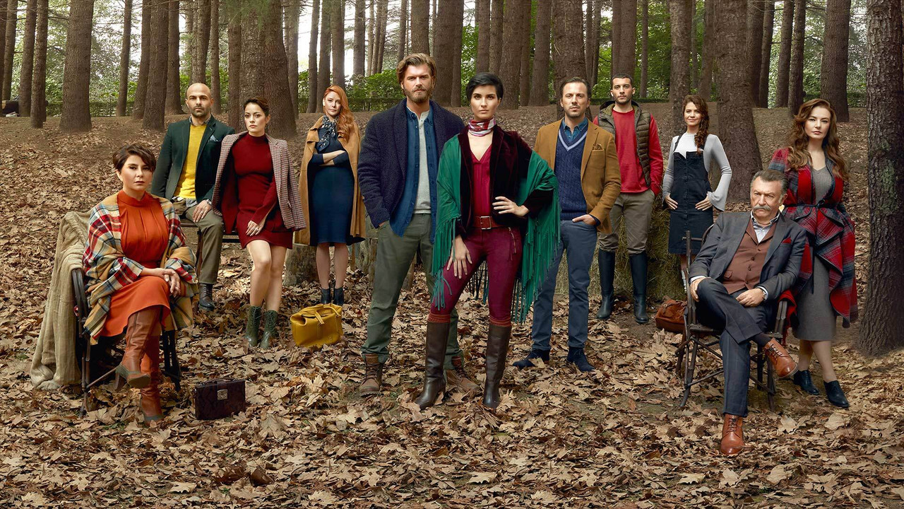 Brave and Beautiful backdrop