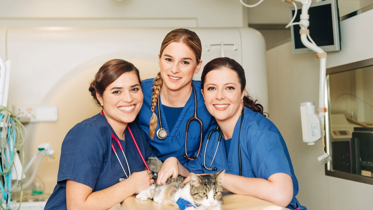 Tierärztin 24/​7 backdrop