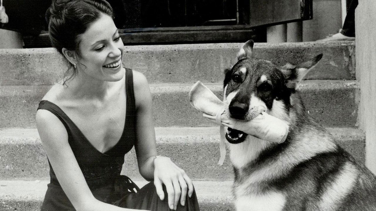 The Littlest Hobo backdrop