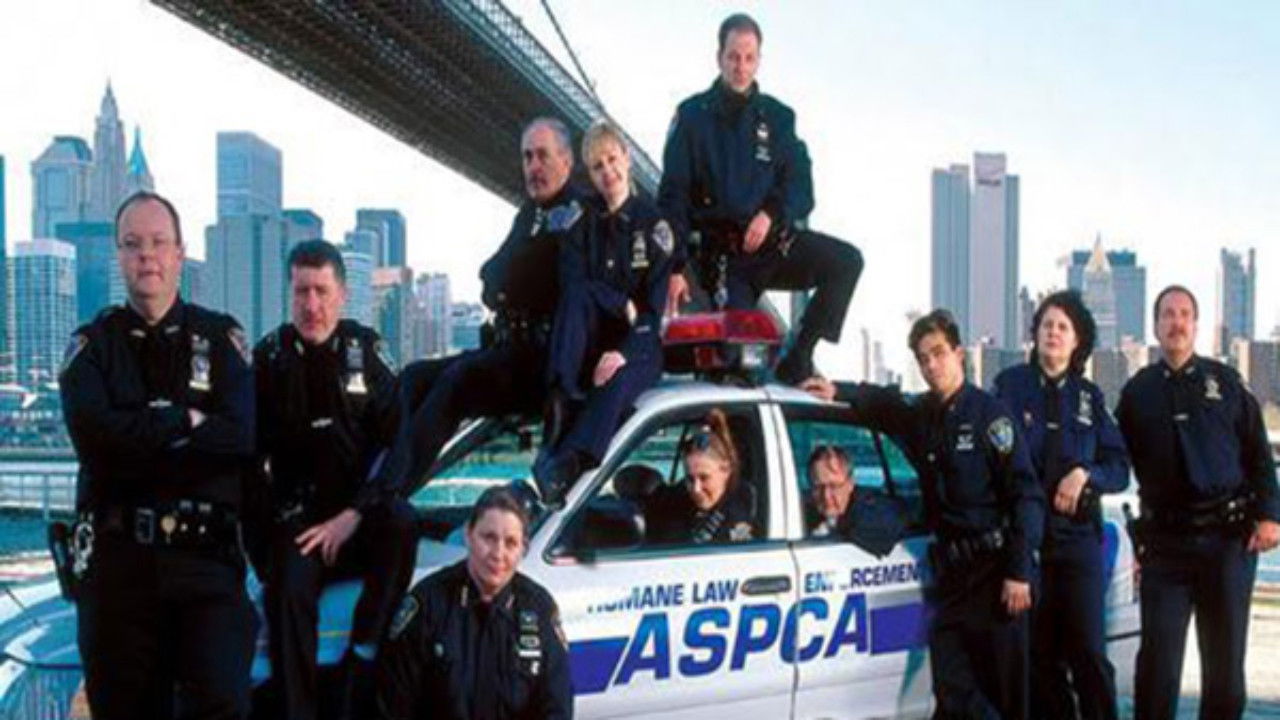 Animal Precinct backdrop