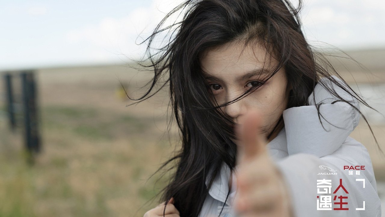 Adventure Life backdrop