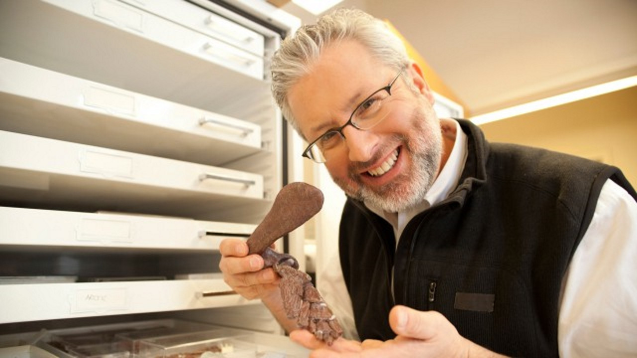 Your Inner Fish backdrop