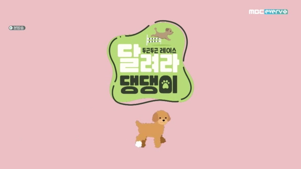 달려라 댕댕이 backdrop