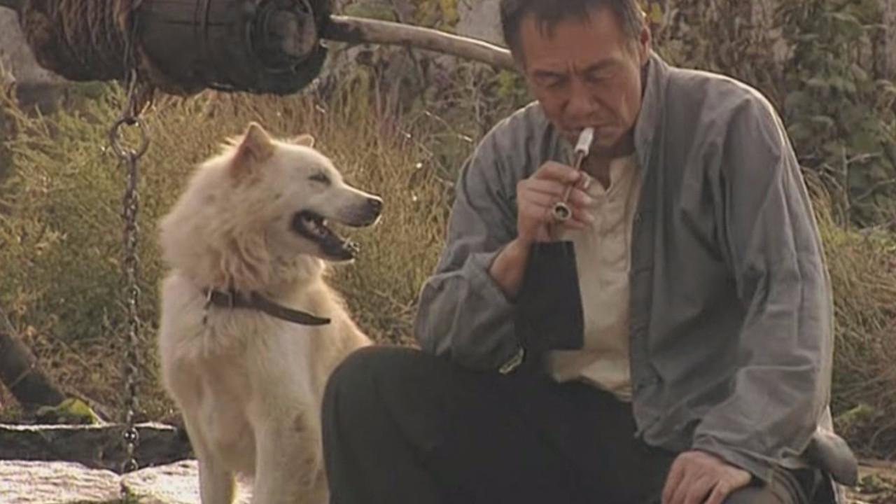 古船·女人和网 backdrop