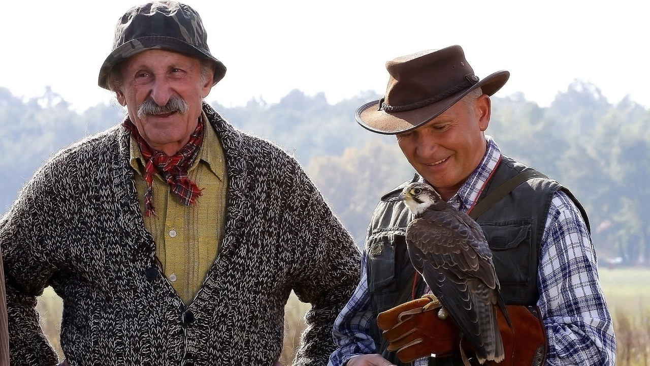 Hotel pod żyrafą i nosorożcem backdrop