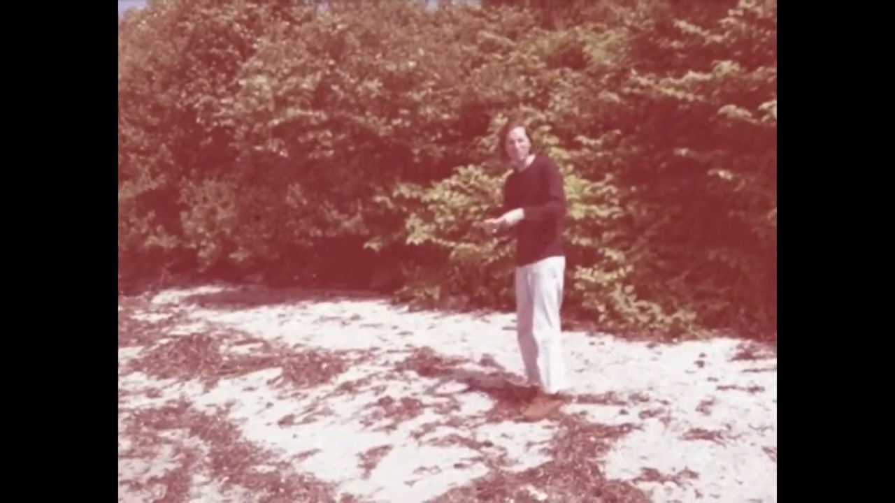 Moonrise Kingdom Extras - Eleven iPhone Videos by Edward Norton. backdrop