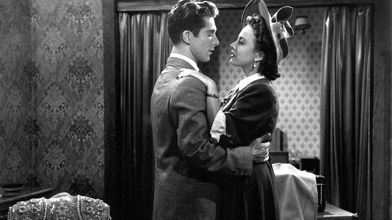 Sun and Bulls backdrop